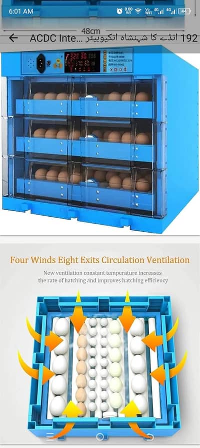 incubator 192eggs cpasty