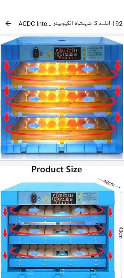 incubator 192eggs cpasty