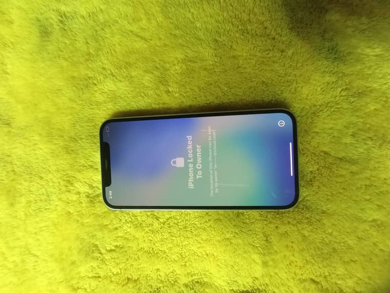 Apple iPhone 12 1