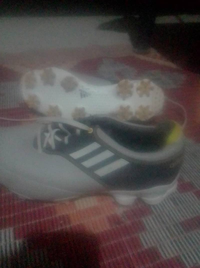 shoes 1