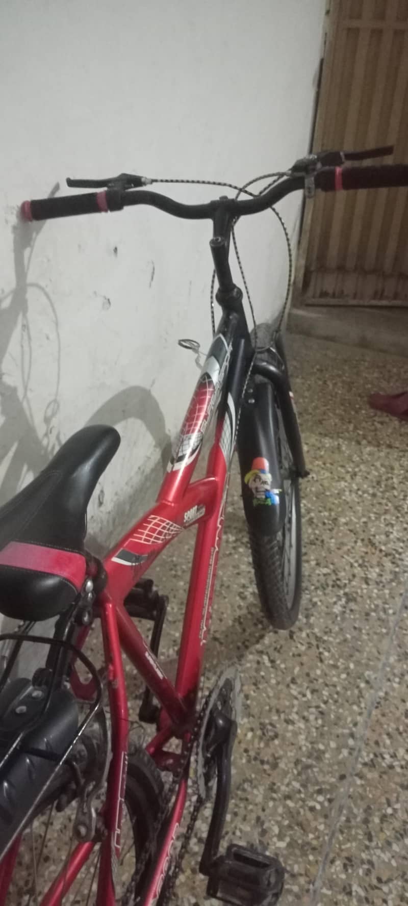 Bi cycle 1