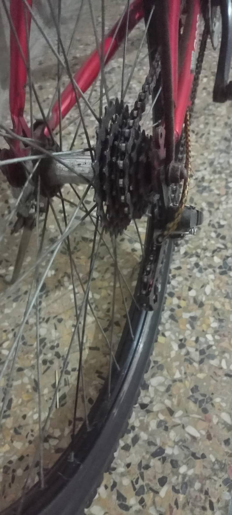 Bi cycle 3