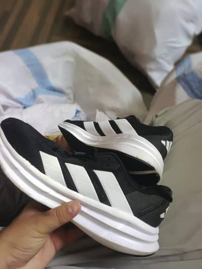 Premium Shoes