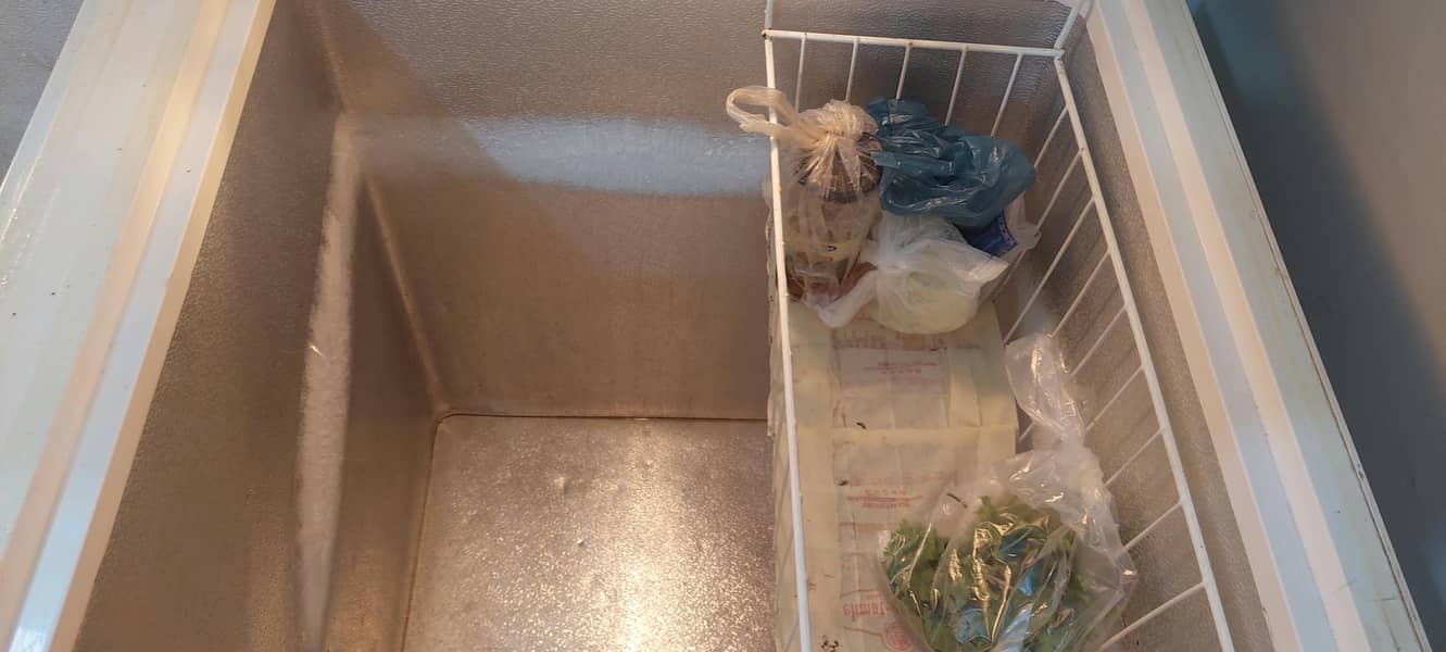 waves deep freezer 4