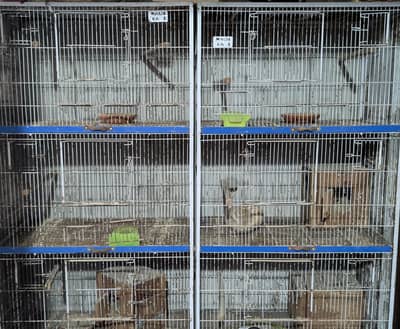 3 Tower Cages Available