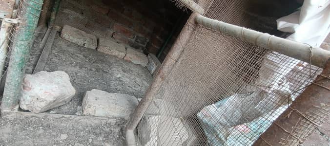 Iron Cage/ Pinjra