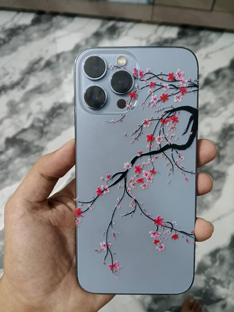 Apple iPhone 13 Pro Max 0