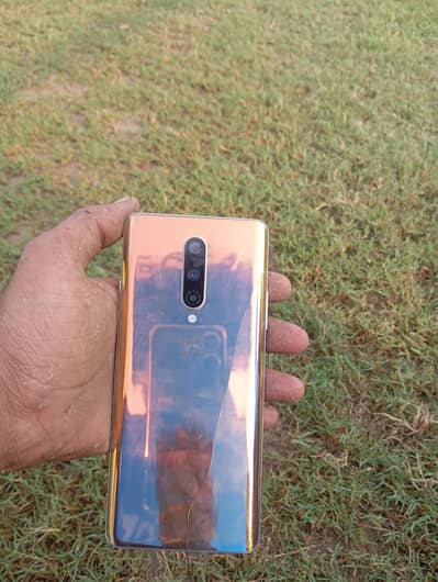 A1 plus 8 hai