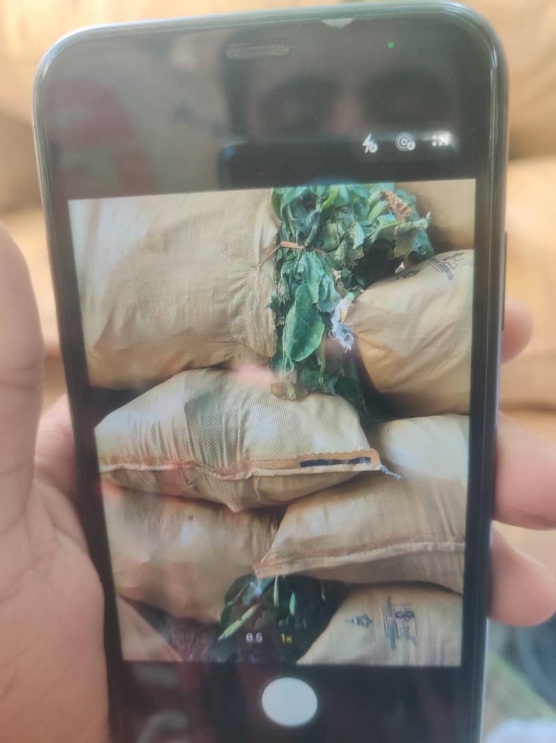 Apple iPhone 11 2