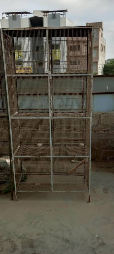 8 portion bird cages