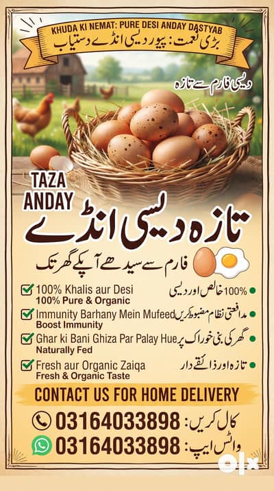 Desi Eggs Available Per Dozen