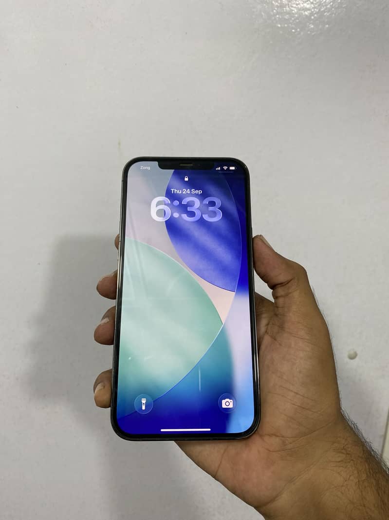 Apple iPhone 12 Pro Max 2