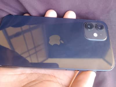 Apple iPhone 12