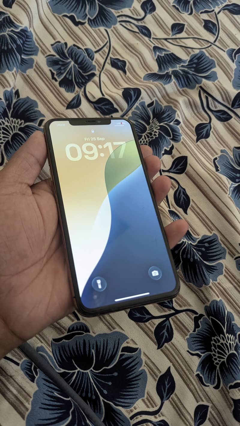 Apple iPhone 11 Pro Max 1