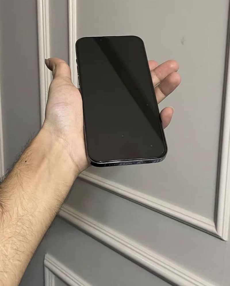 Apple iPhone 13 Pro 1