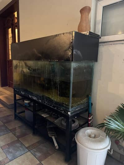 aquarium for sale with stand filter
