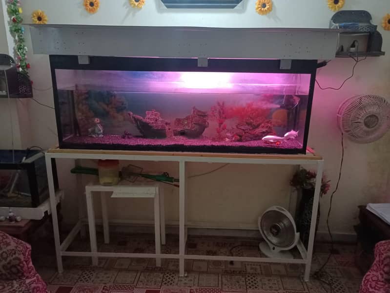 complete aquarium with setup 0