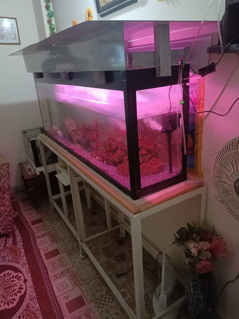 complete aquarium with setup 1