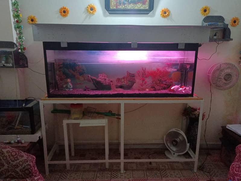 complete aquarium with setup 2