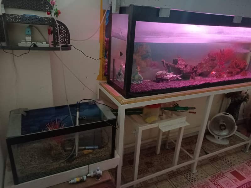 complete aquarium with setup 3