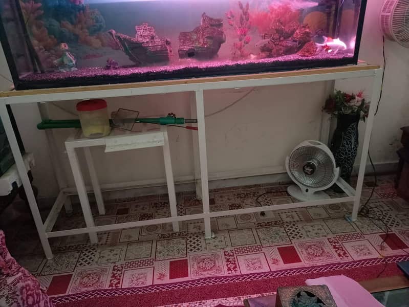 complete aquarium with setup 5