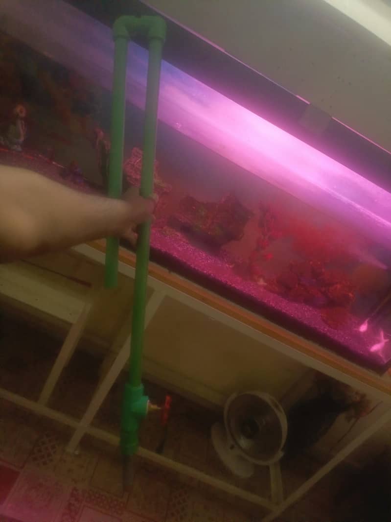 complete aquarium with setup 6