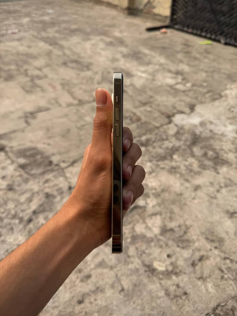iphone 14 pro max 2