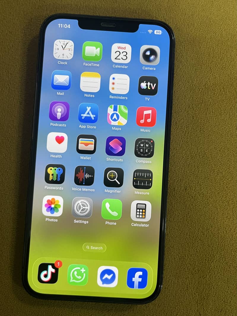 iPhone 12 Pro Max 1
