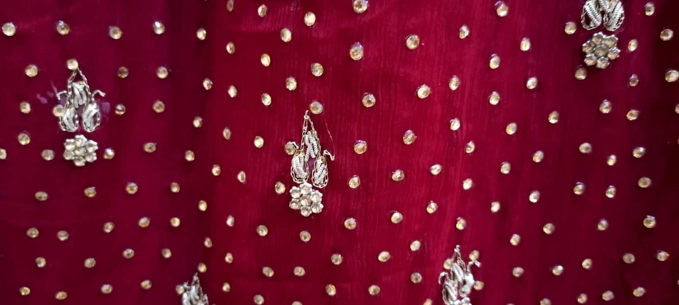 Bridle lengha 4