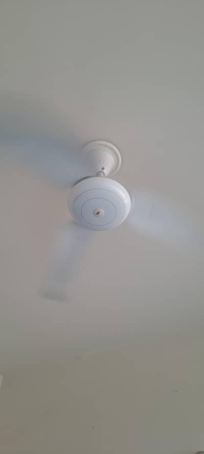 Fans SK Company