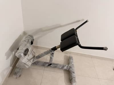 Back extension machine for sale