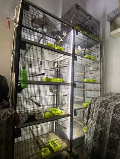 Love Bird cage 2.5x1.5 4 portions cage