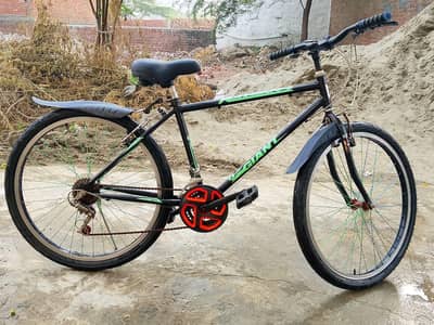 Gaint phonex cycle size 26