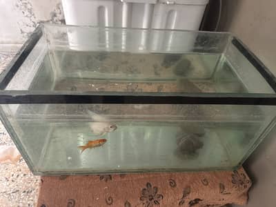 Aquarium
