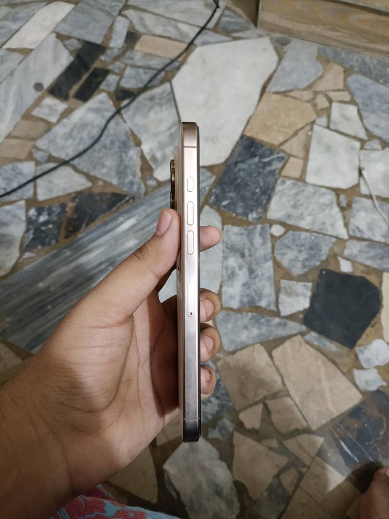 Apple iPhone 16 Pro Max 1
