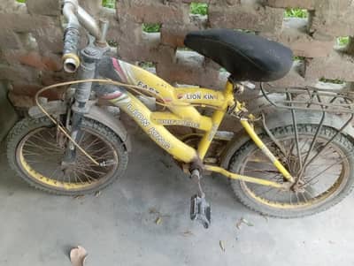 boy bicycle