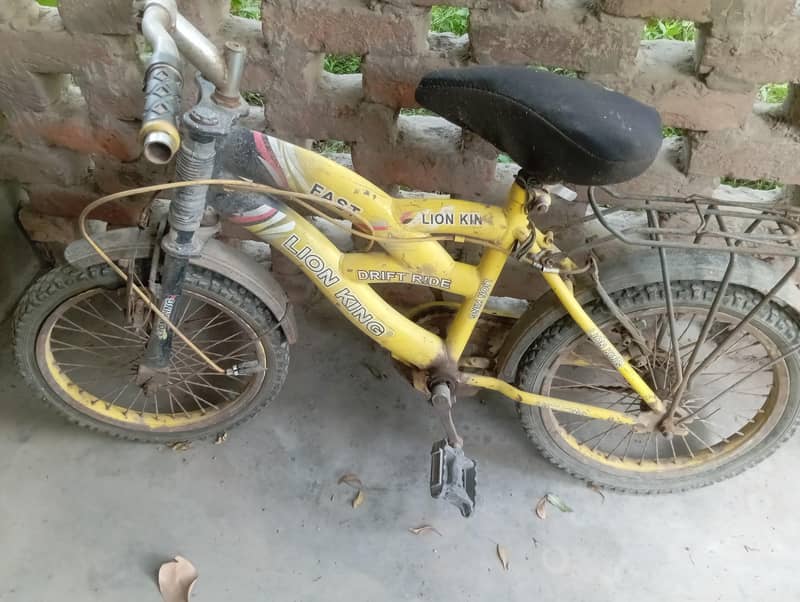 boy bicycle 0