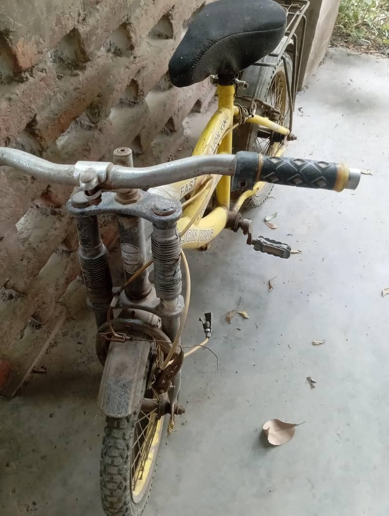 boy bicycle 1