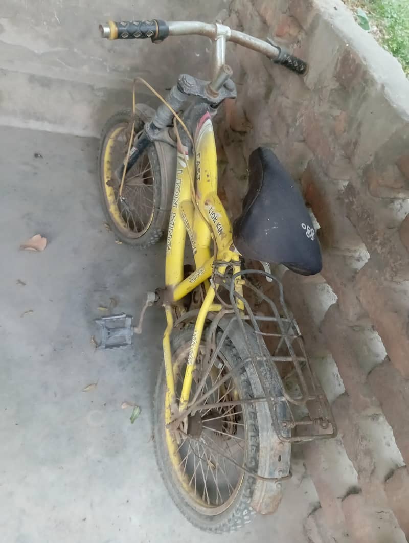 boy bicycle 2