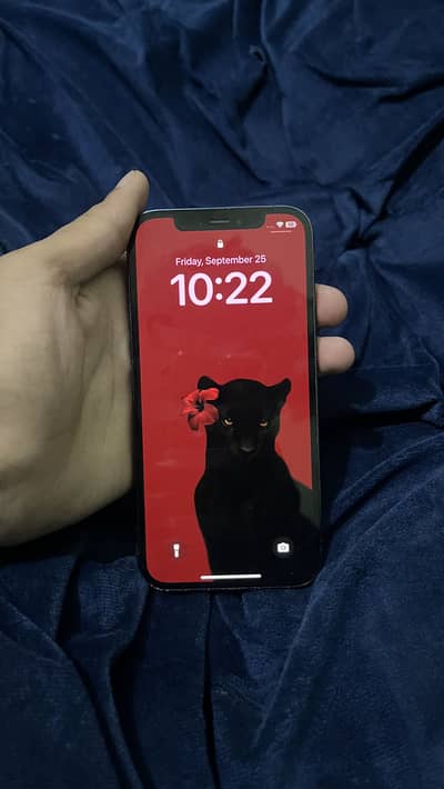 Apple iPhone 12