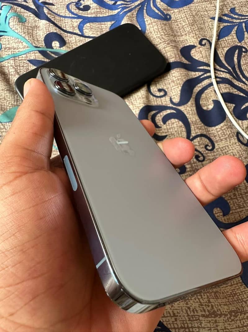 Apple iPhone 13 Pro Max 1