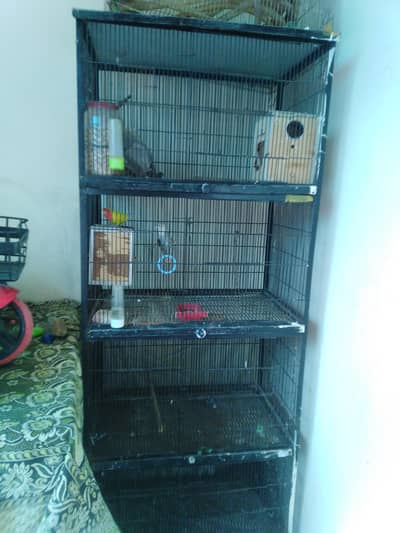 pinjra A one new condition 03181436062