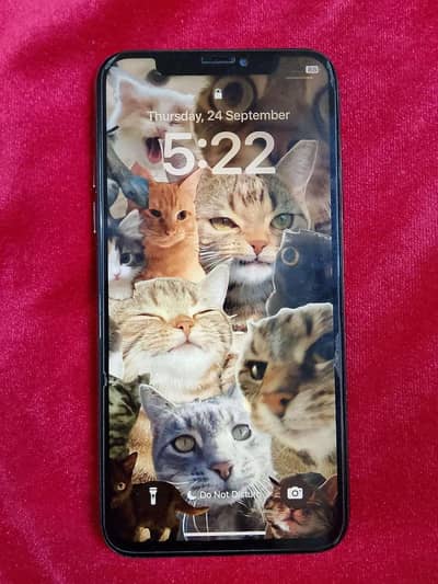 Apple iPhone XS