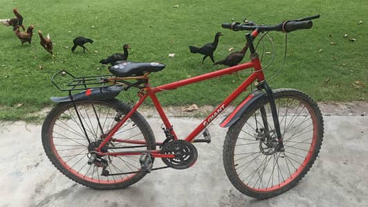 good condition bicycle for sale