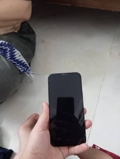 Apple iPhone 12 Pro Max