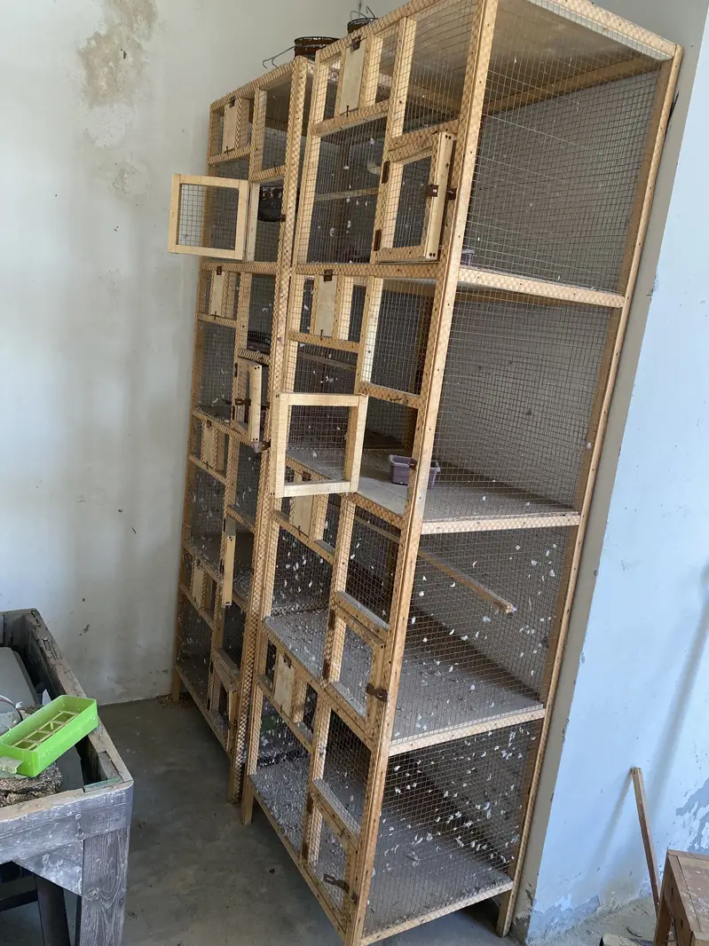 Wood cage — photo 2