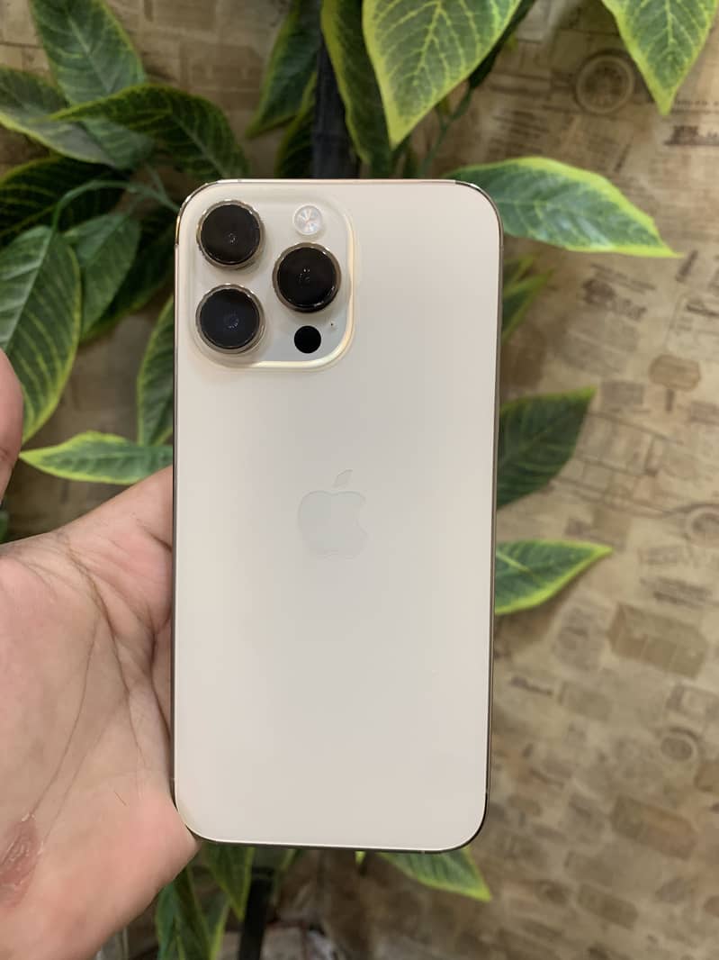 Apple iPhone 14 Pro Max 1