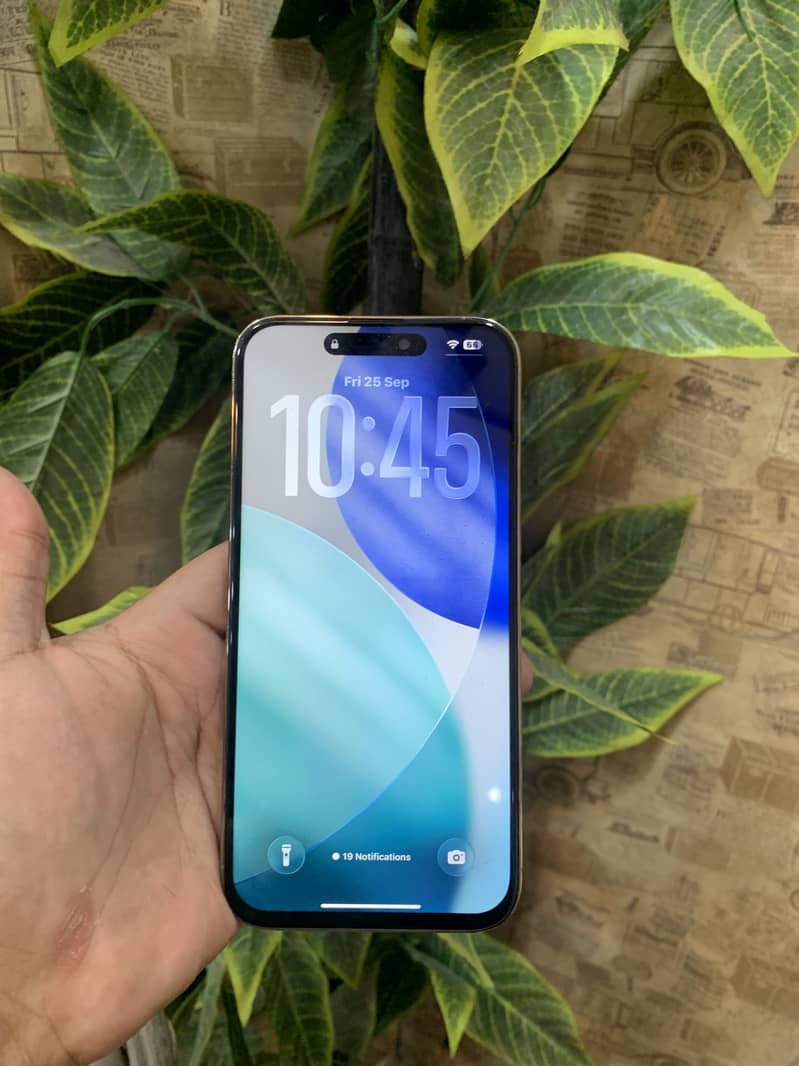 Apple iPhone 14 Pro Max 2