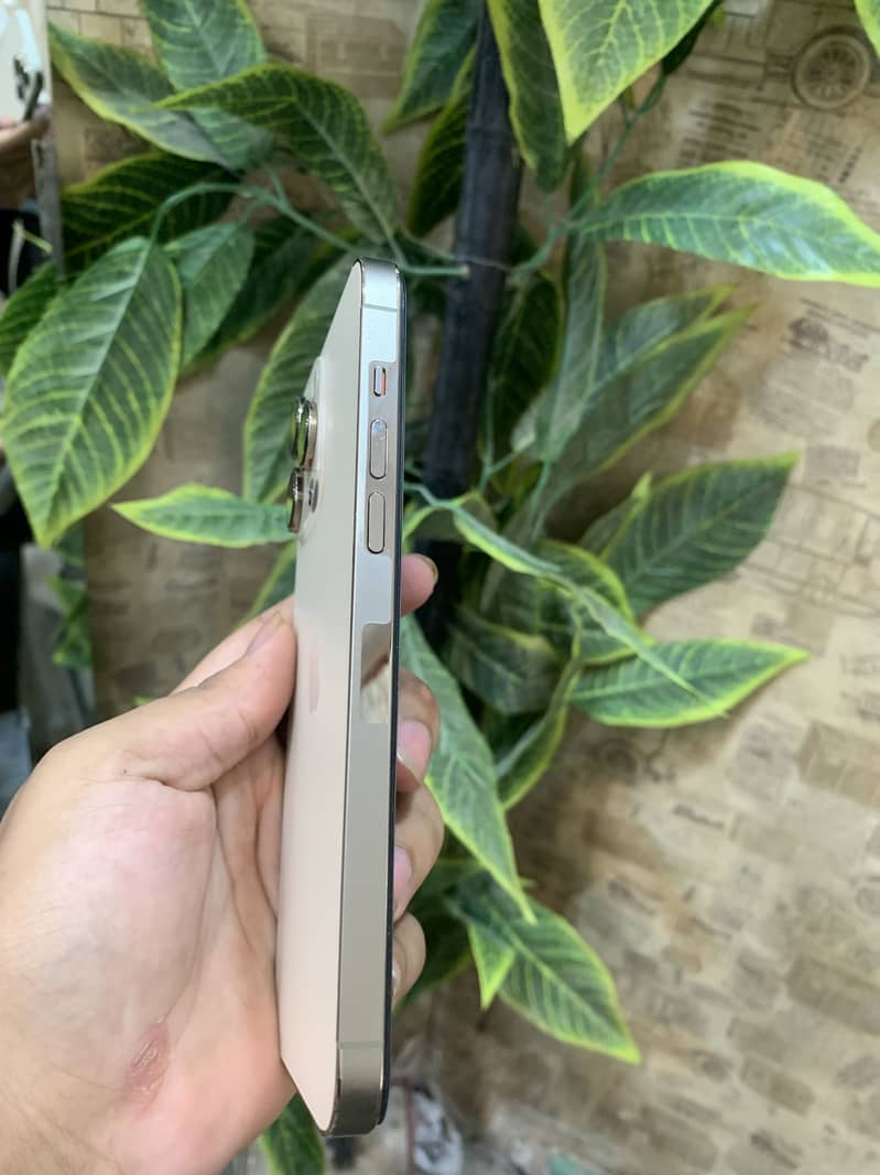 Apple iPhone 14 Pro Max 5