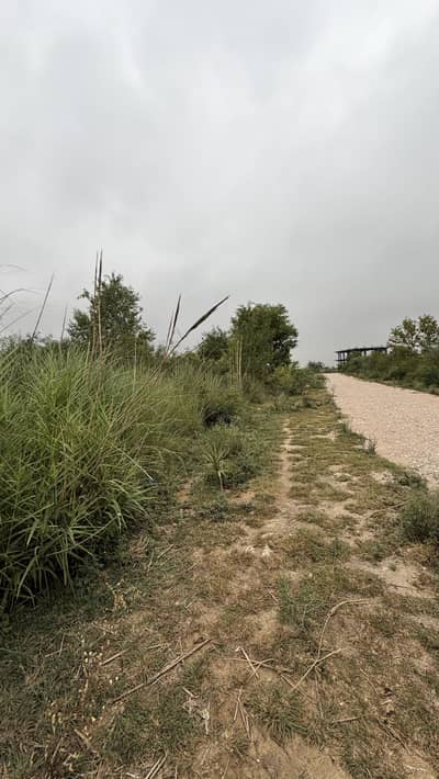 62 Kanal Land For Sale In Kalar Kahar
